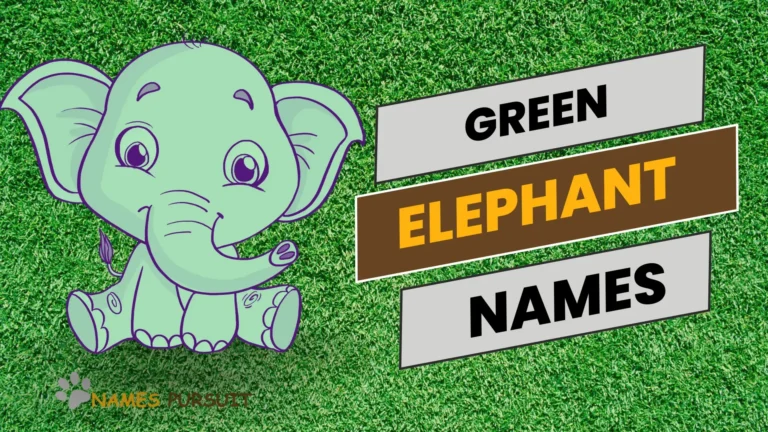 Best Cartoon Inspired Elephant Names