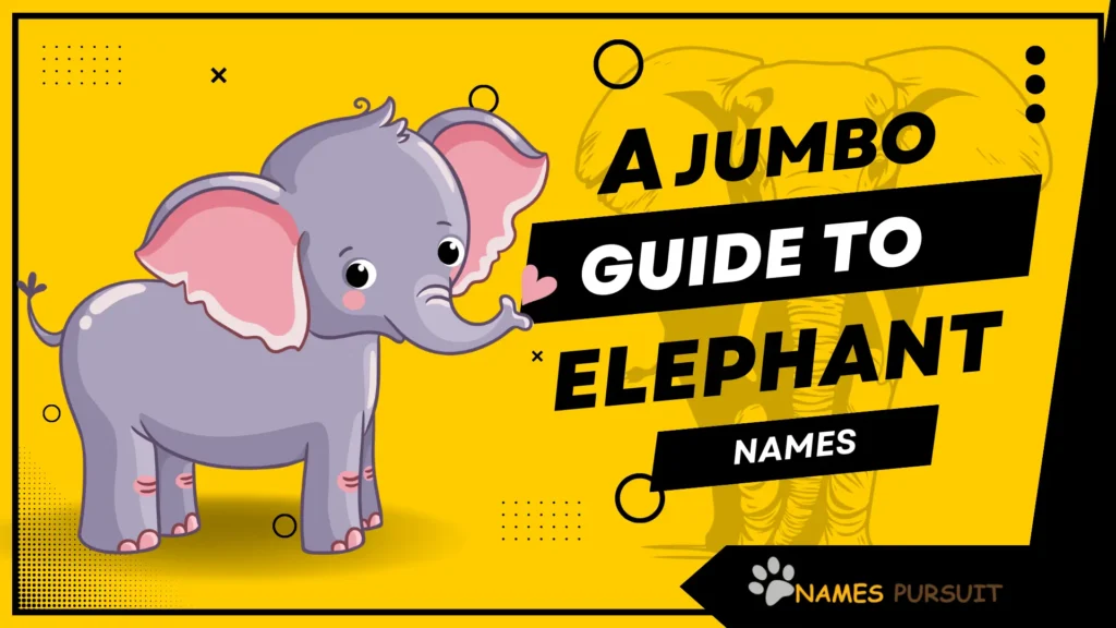 A Jumbo Guide to Elephant Names