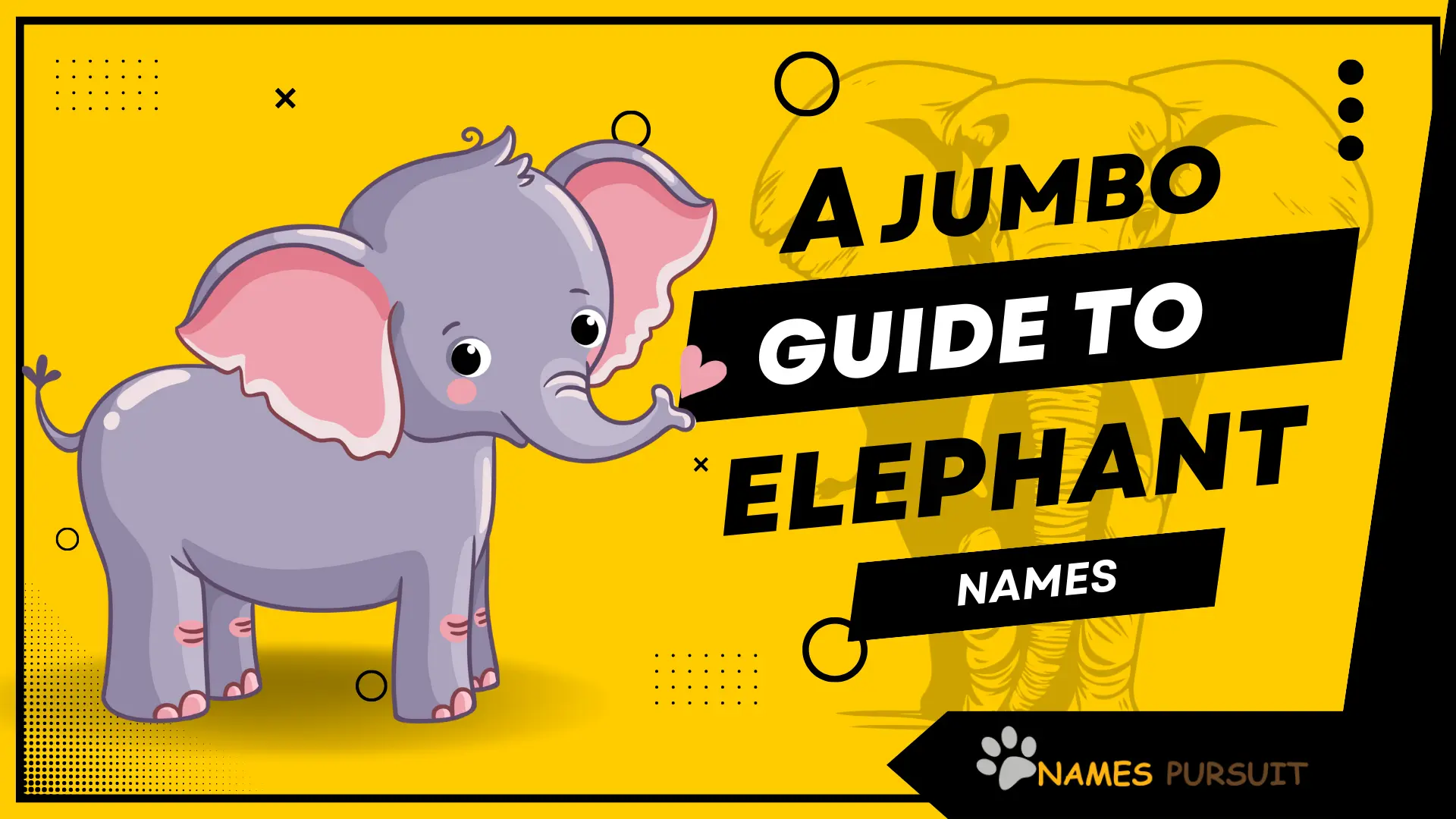 350+ Elephant Names (Cute, Famous & Funny)