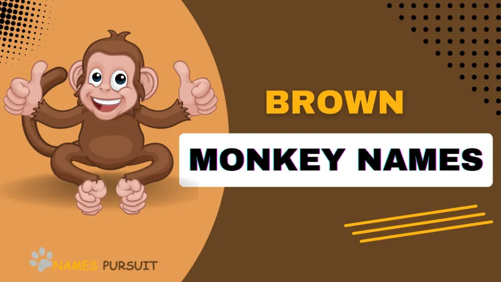 Brown Monkey Names