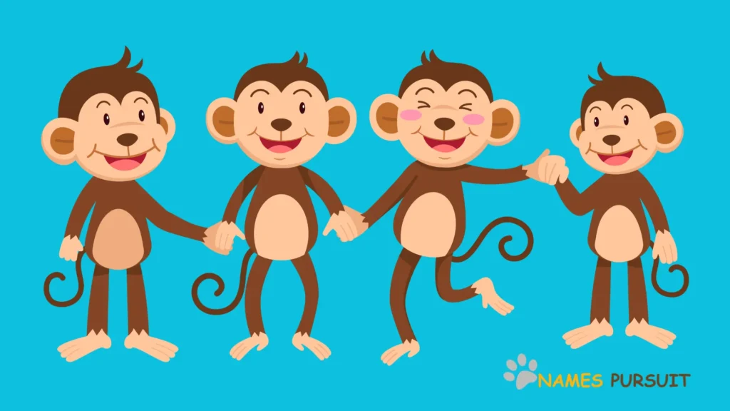 Cool Name Ideas FOR monkeys - NamesPursuit