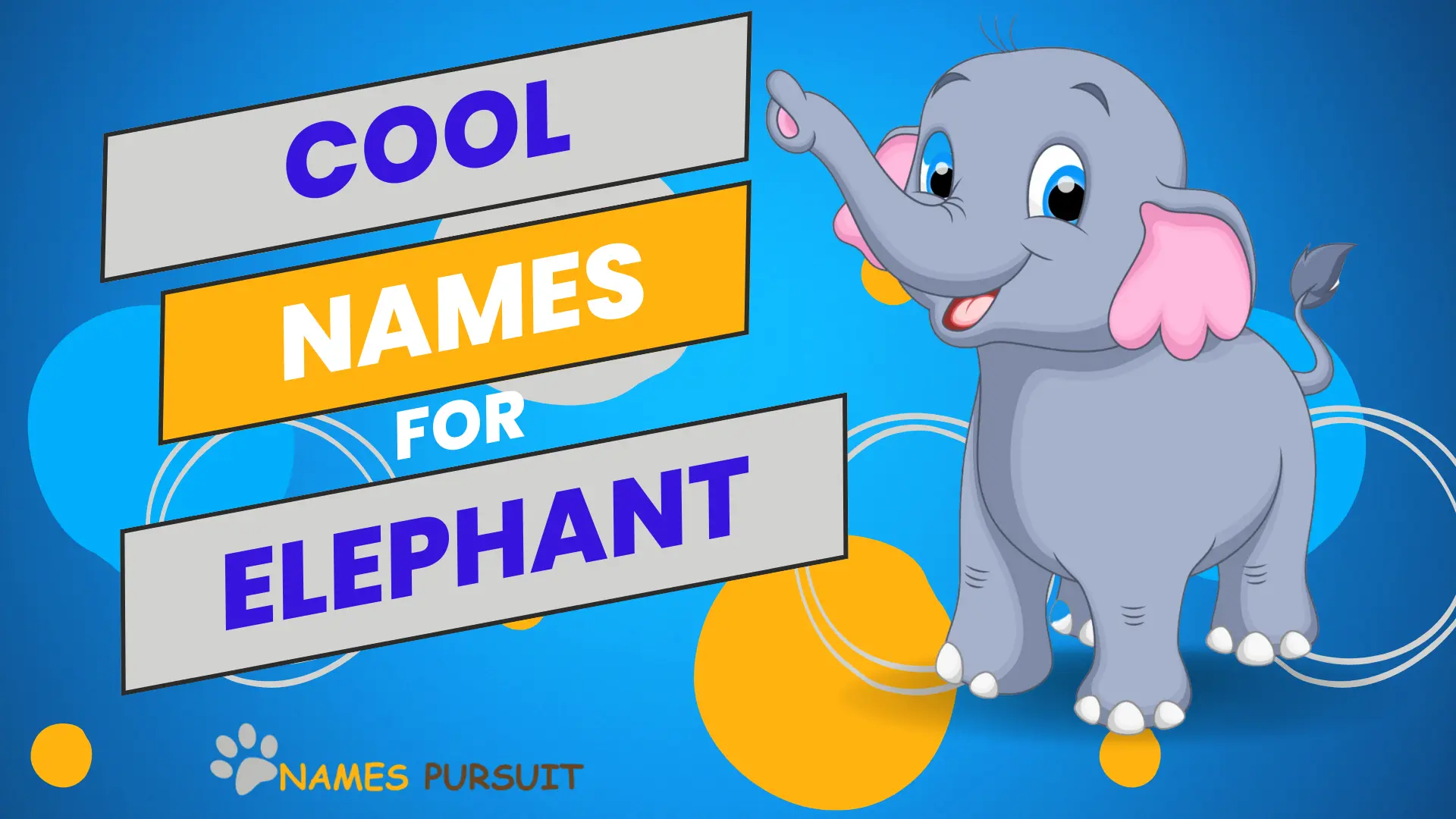 100+ Cool Names for Elephants [AZ List]