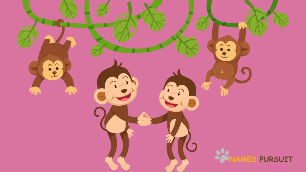 Cute Baby Monkey Names - NamesPursuit