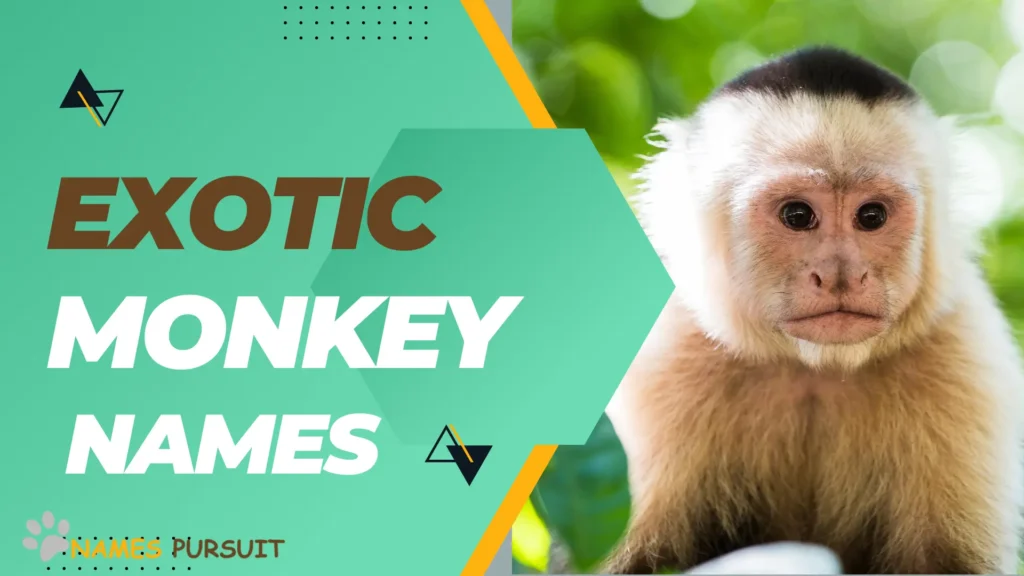 Exotic Monkey Names
