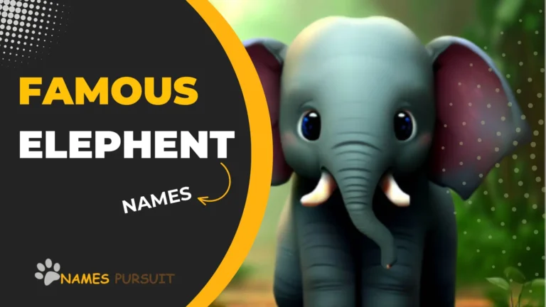 Famous Elephant Names