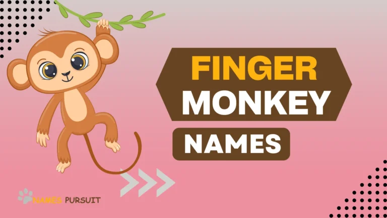 Finger Monkey Names