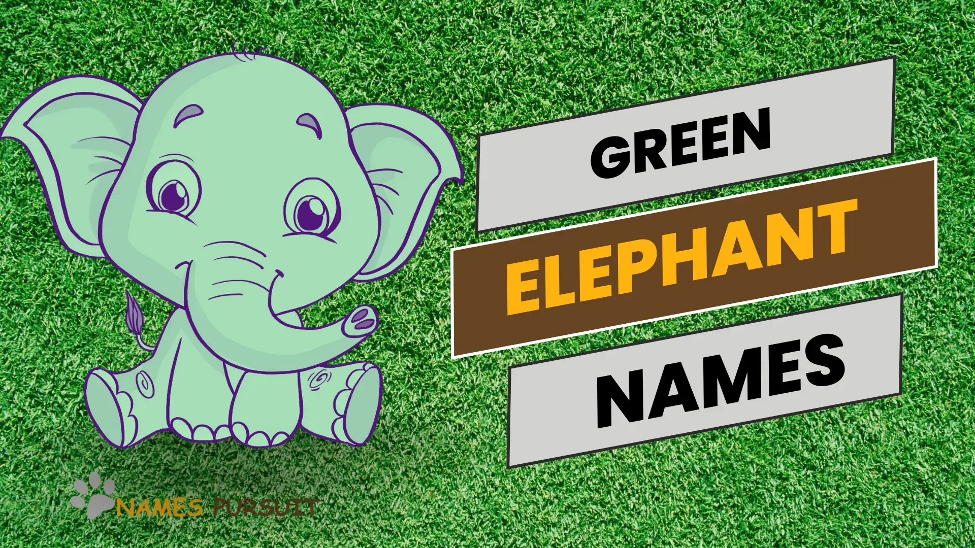 Best Green Elephant Names