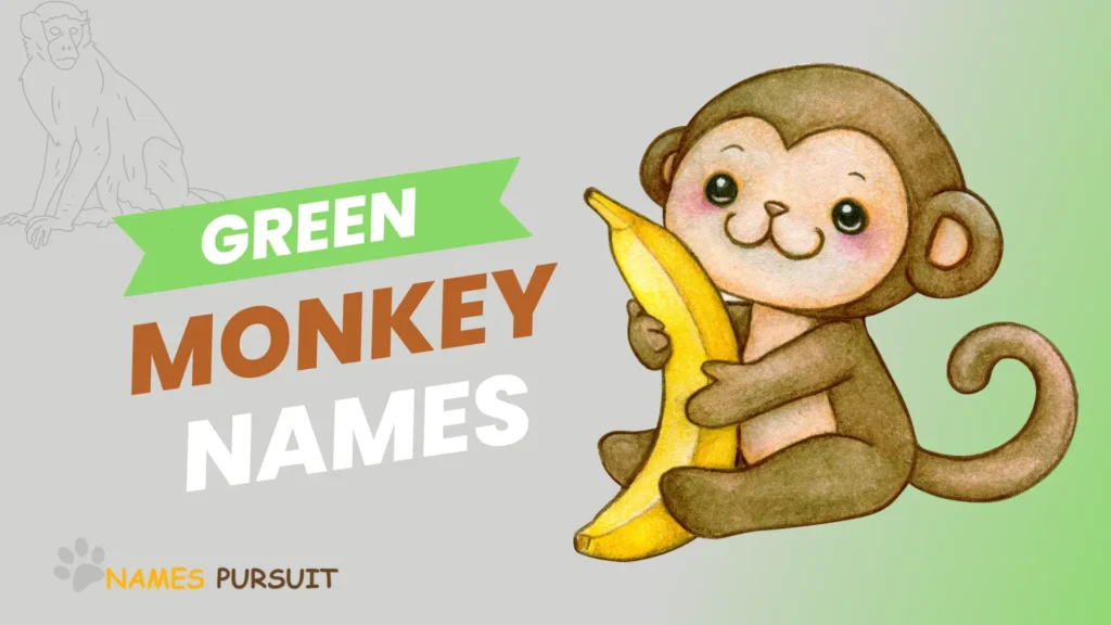 Green Monkey Names