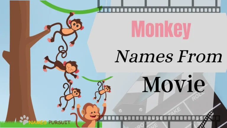 Monkey Names from Movies