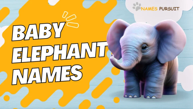 200+ Boy Elephant Names (Cute, Funny & More)