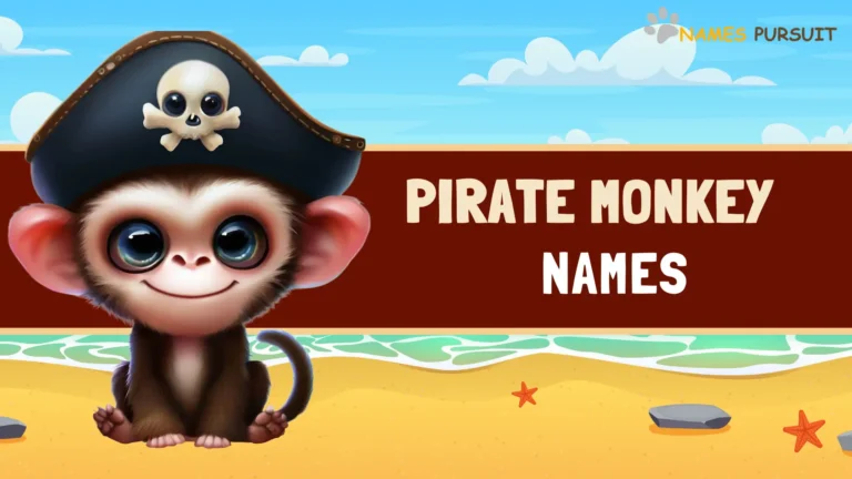 Pirate Monkey Names