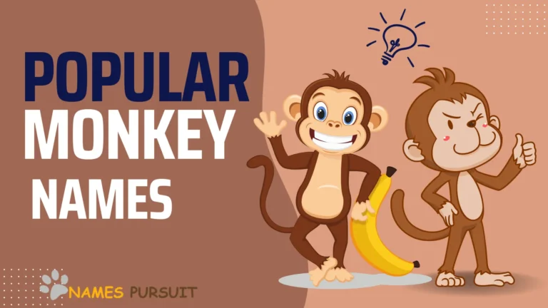 260+ Girl Monkey Names: (Funny, Famous, and Unique)