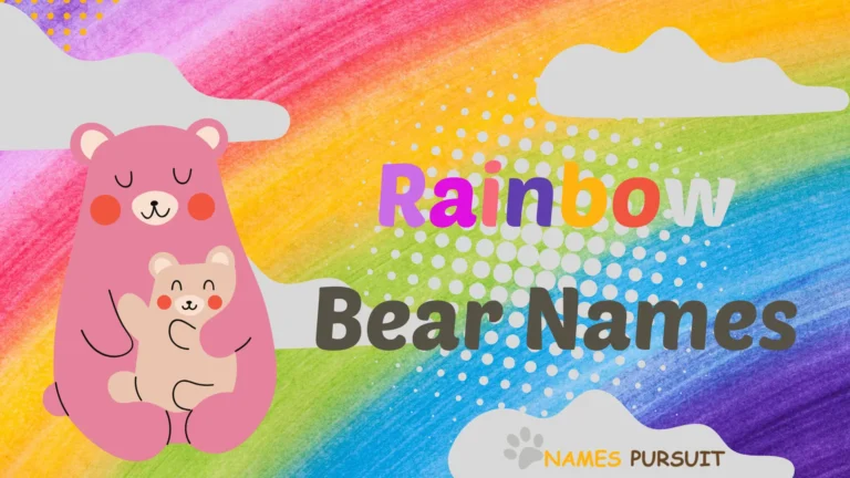 Rainbow Bear Names