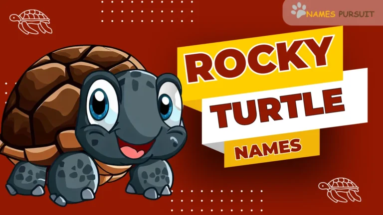 Rocky Turtle Names