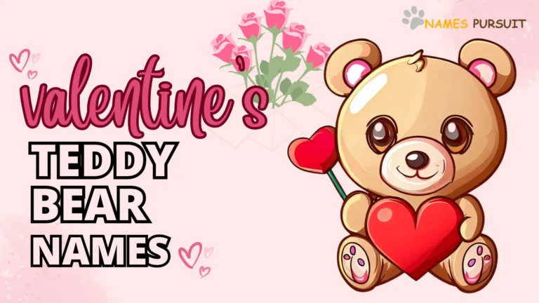 Valentine Teddy Bear Names
