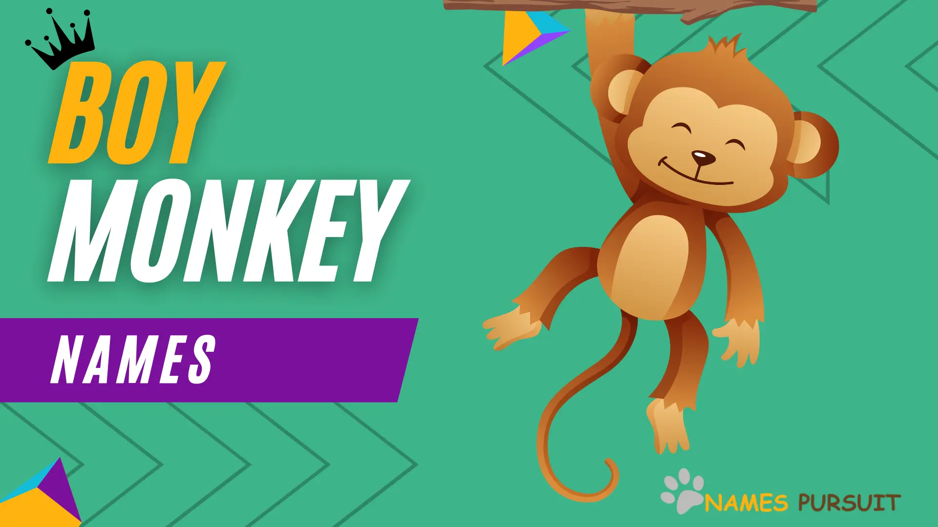 300 Boy Monkey Names Cute Funny Unique 