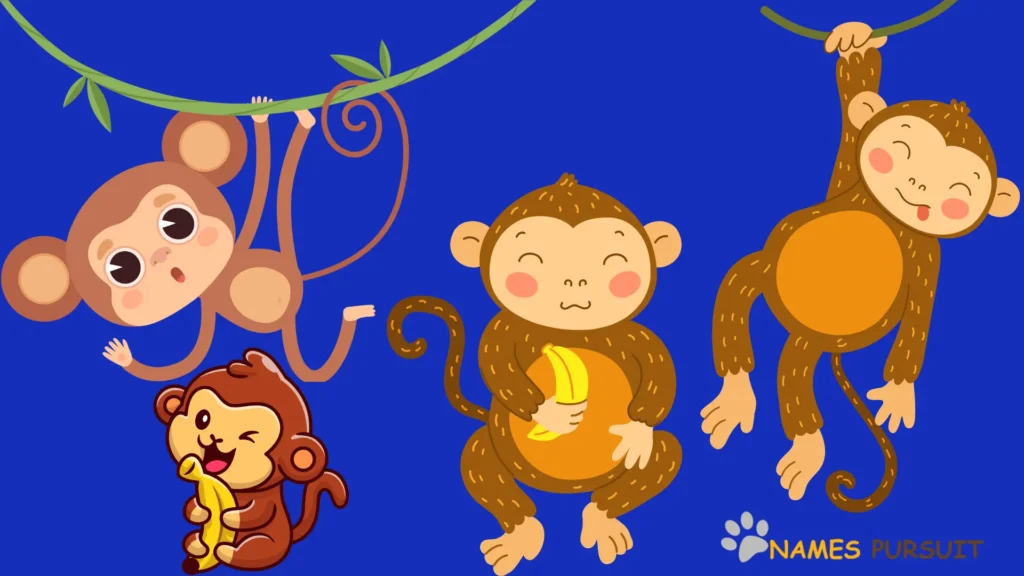 what are boy monkey names