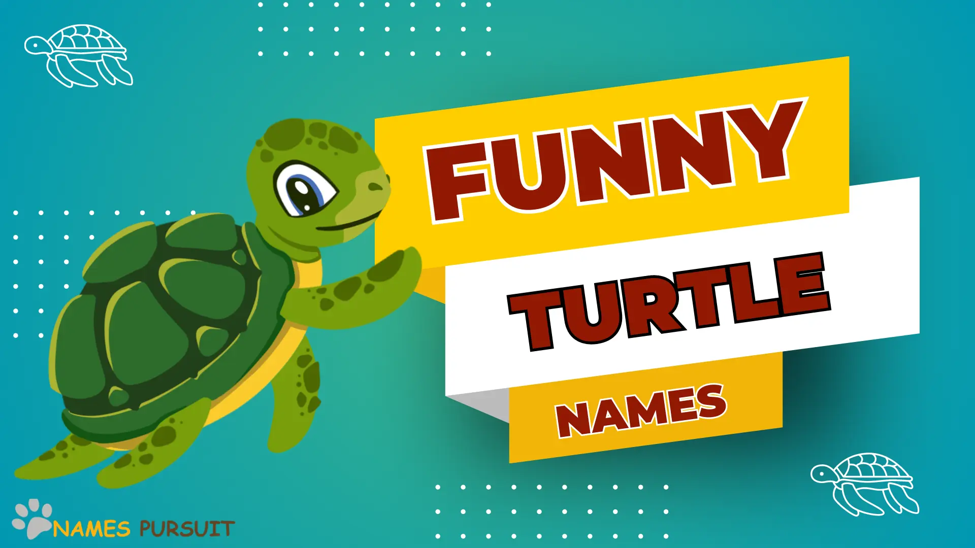 120+ Funny Turtle Names AZ