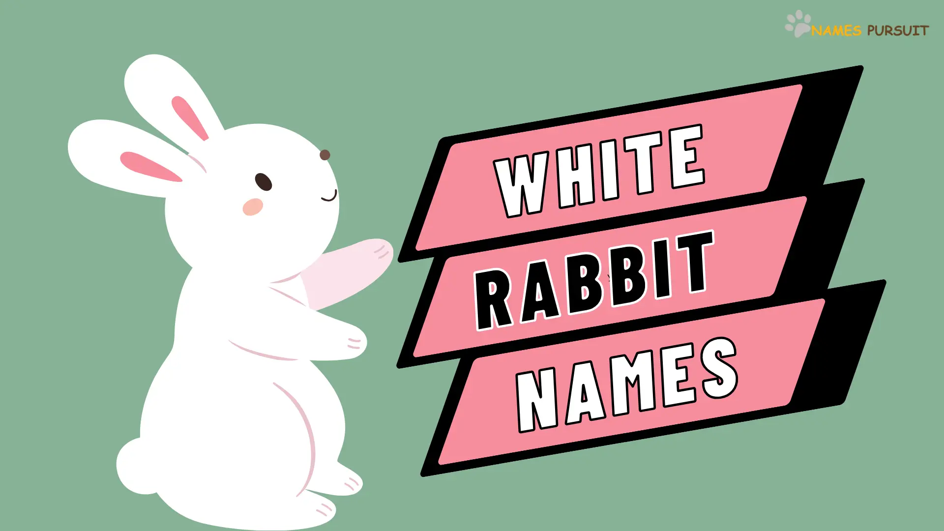 150 Charming White Rabbit Names.webp