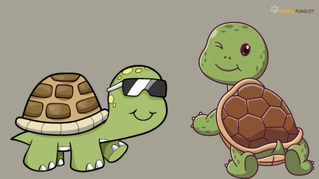 Badass Names for Turtles