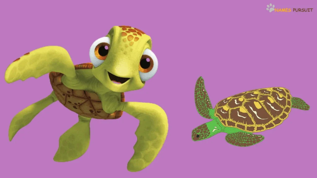 Cartoon Turtle Names