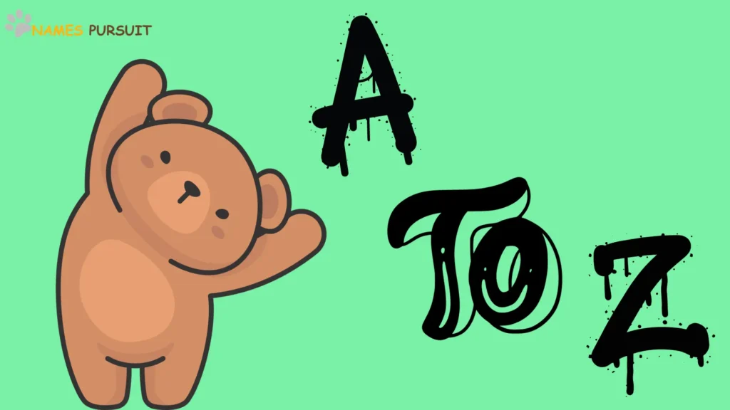 Cute Teddy Bear Names A-Z