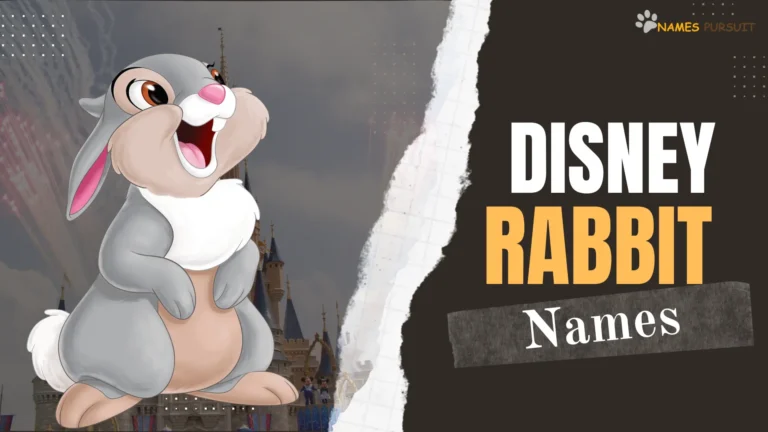 Disney Rabbit Names