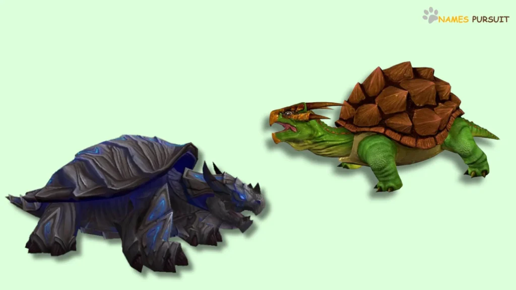 Dragon Turtle Names Inspired by Famous Places