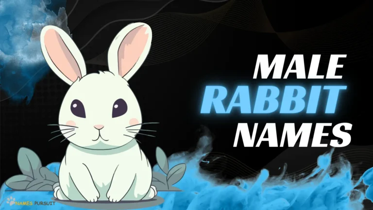 Male Rabbit Names