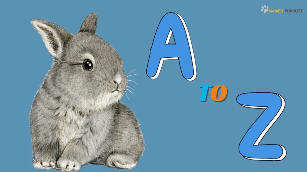Male Rabbit Names A-Z
