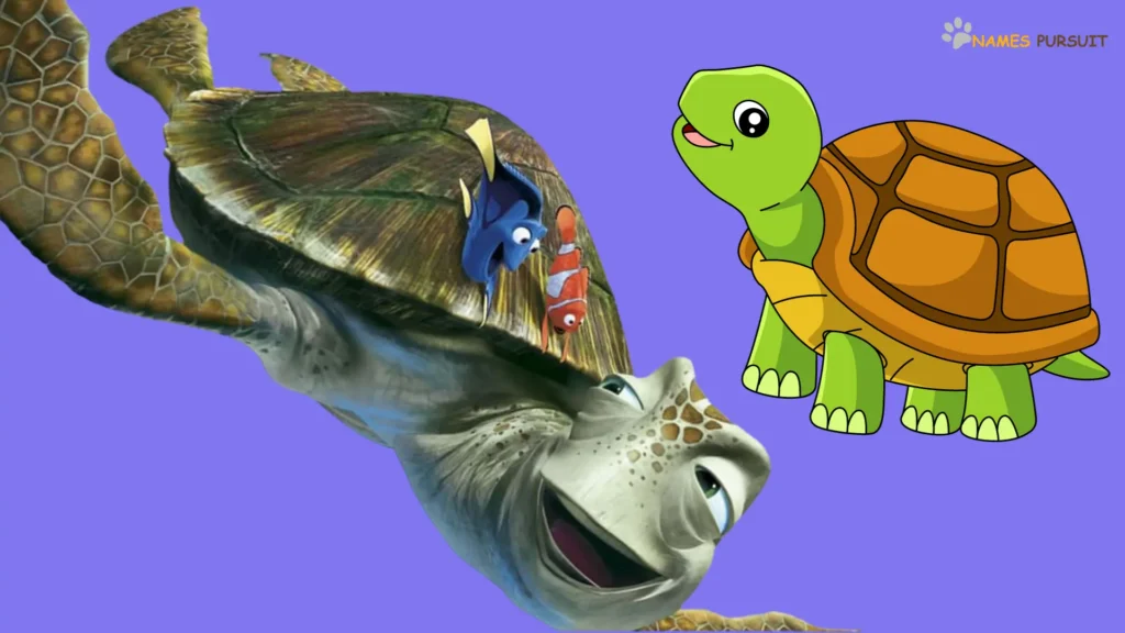Turtle Names Inspired by Disney Prince