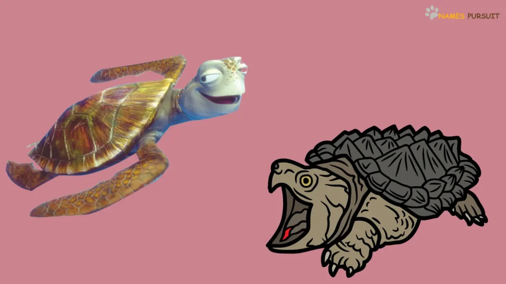 Turtle Names Inspired by Disney Villains