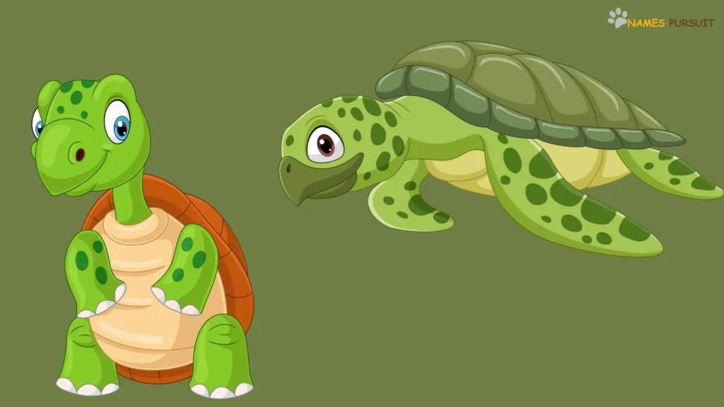 Turtle Names Inspired by Disney's Magical Places