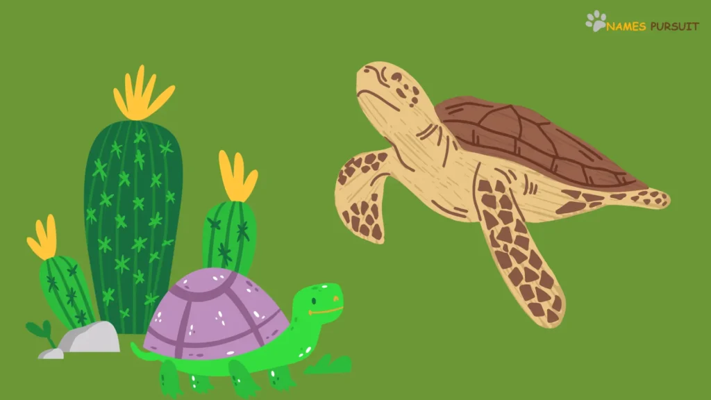 Nature Inspired Hawaiian Turtle Names