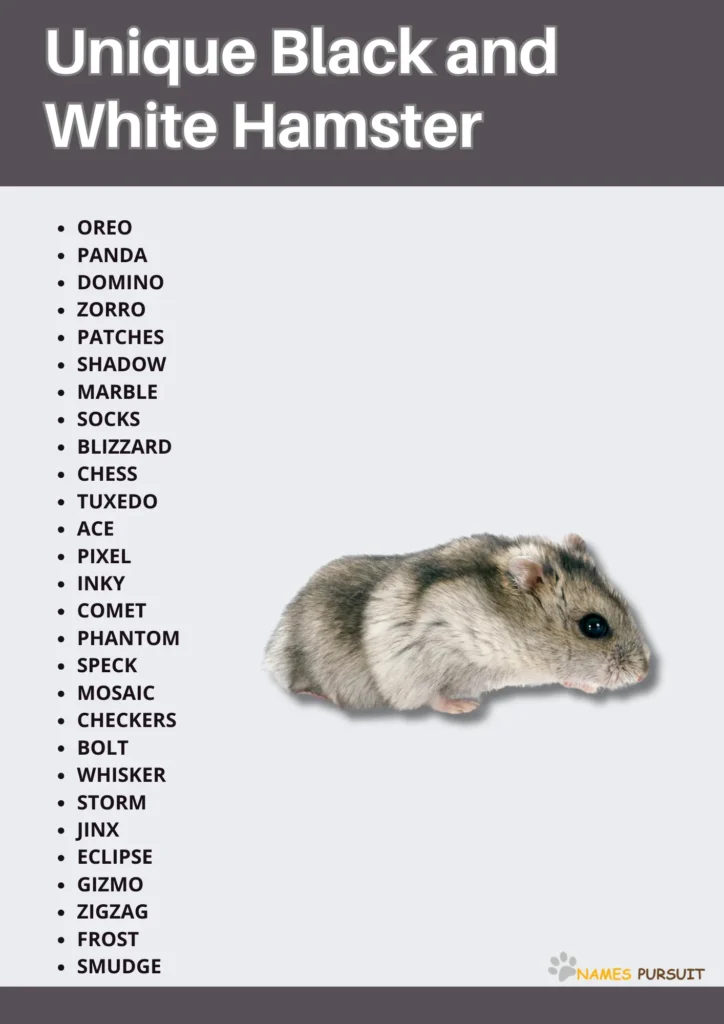 Good Black and White Hamster Names