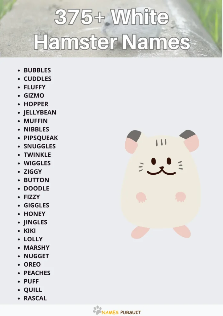 Best White Hamster Names