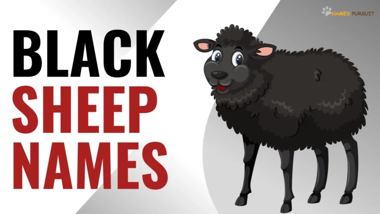 Black Sheep Names