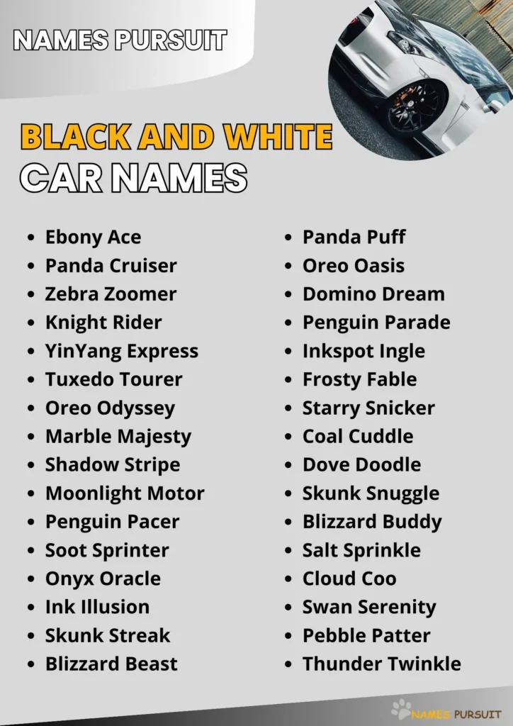 Black and White Car Names Ideas