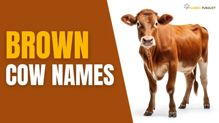 Brown Cow Names
