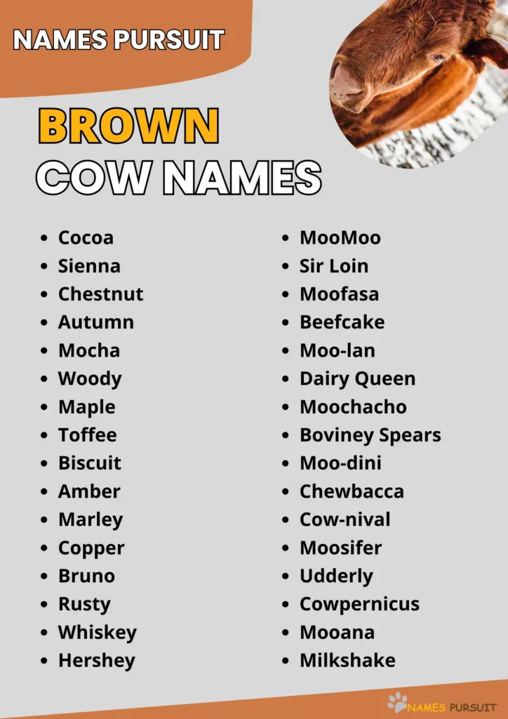Best Brown Cow Names Ideas