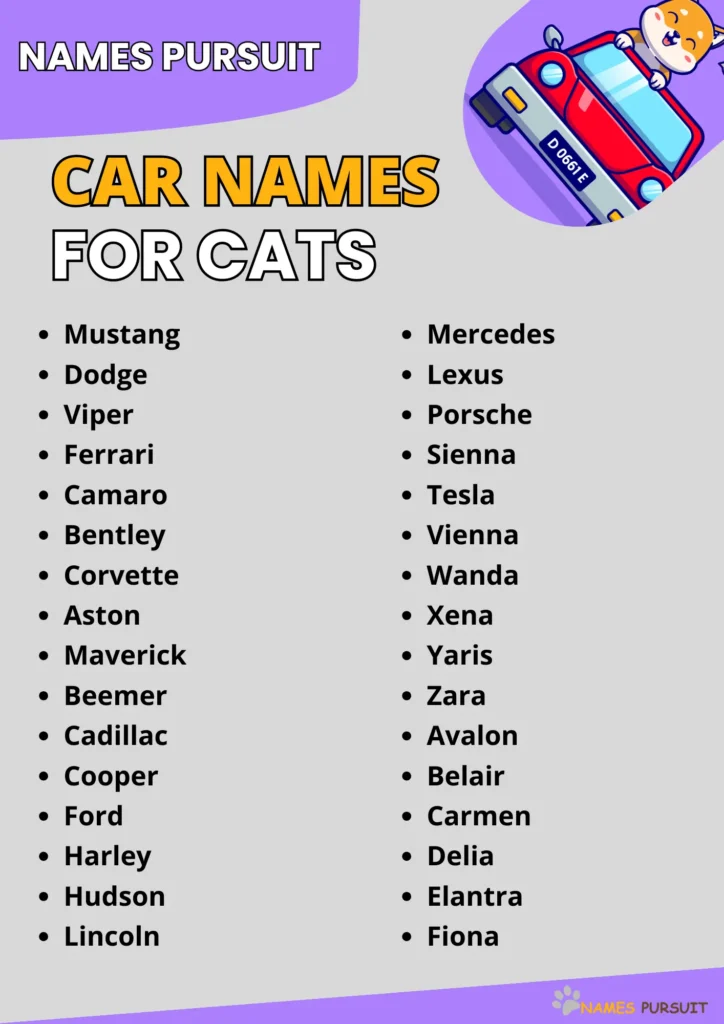 Best Car Names for Cats Ideas