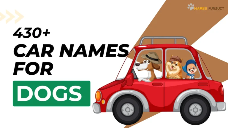 Japanese Rabbit Names 50 Ideas For Your Furry Pet pet-name-generator-curious-pet-owners-start-here