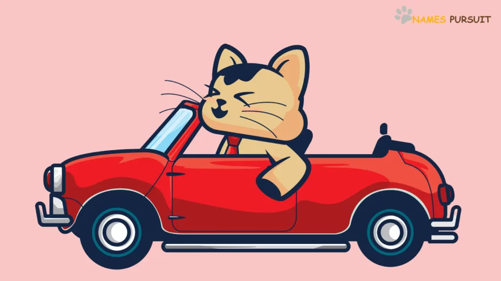 Female Cat Names Inspired by Cars