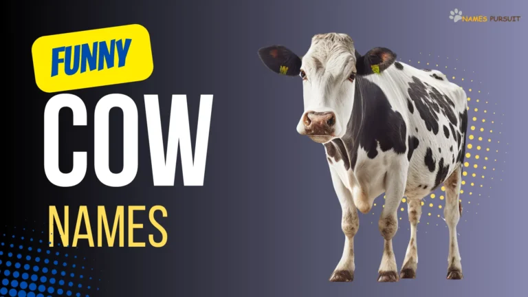 Funny Cow Names