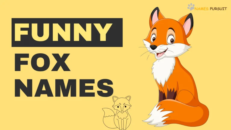 Funny Fox Names