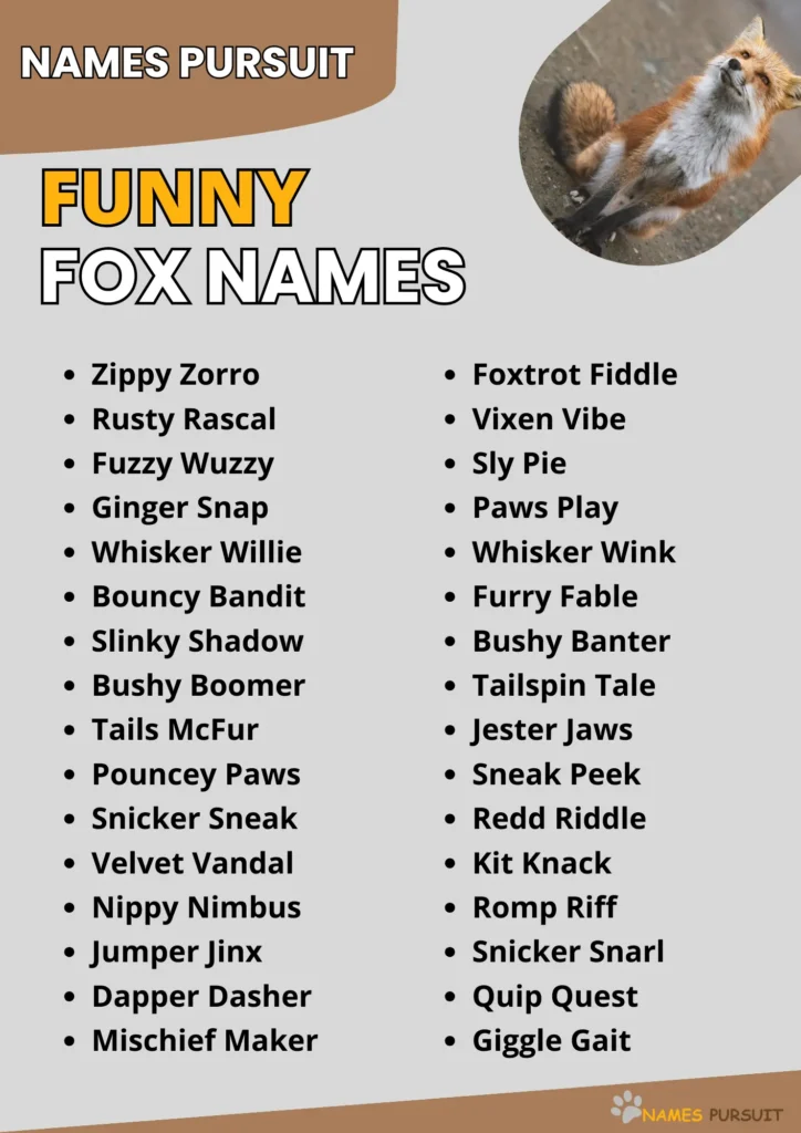 Funny Fox Names infographic
