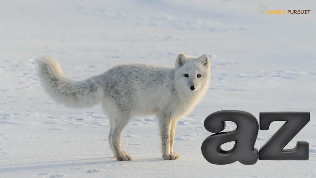Good white fox names (A-Z list)