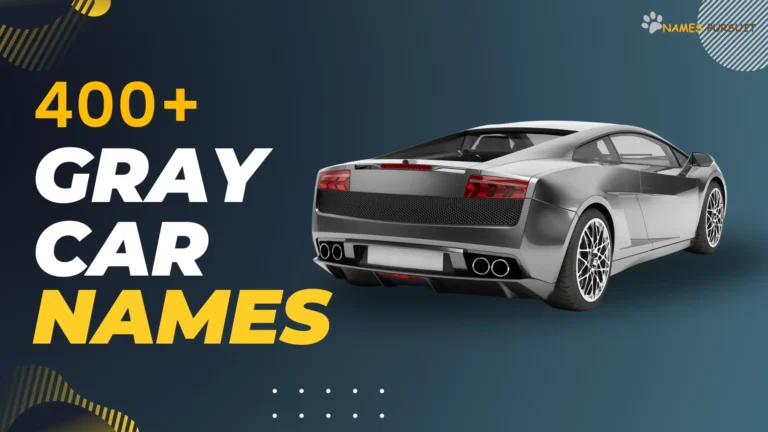 Gray Car Names