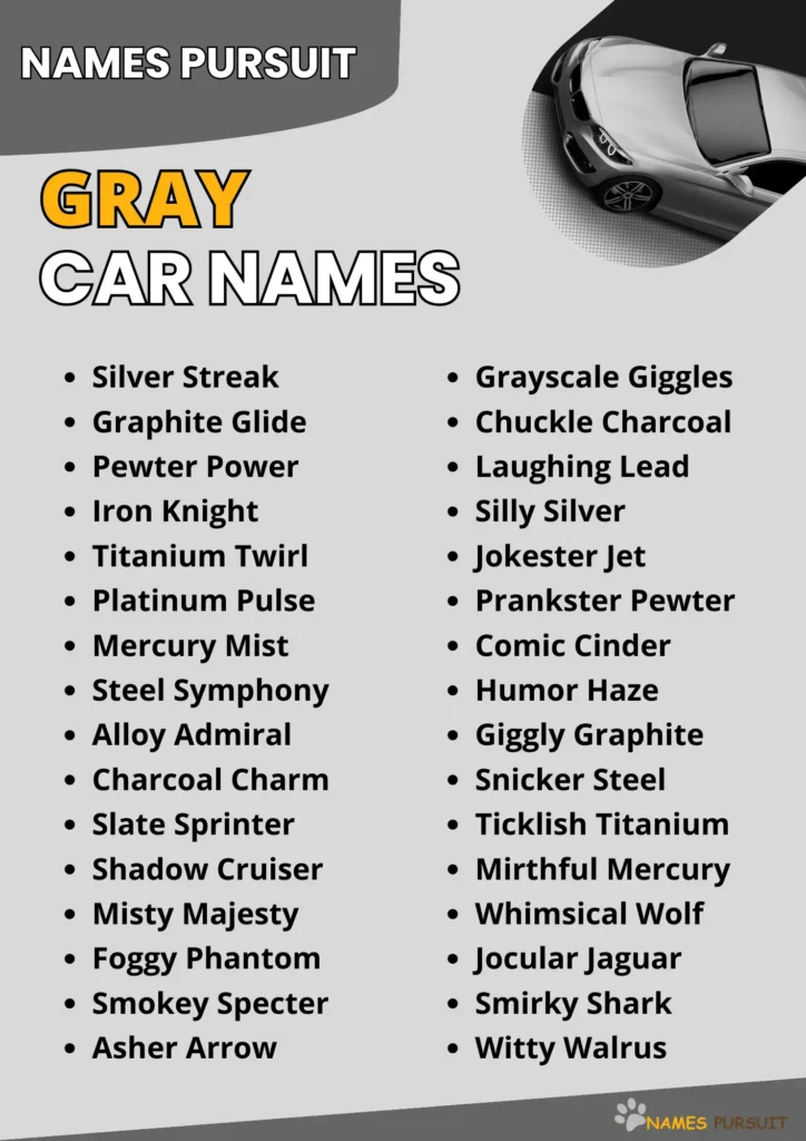 480 Gray Car Names Bold Funny Unique Ideas 