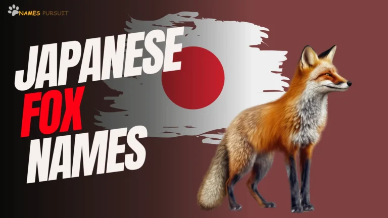 Japanese Fox Names